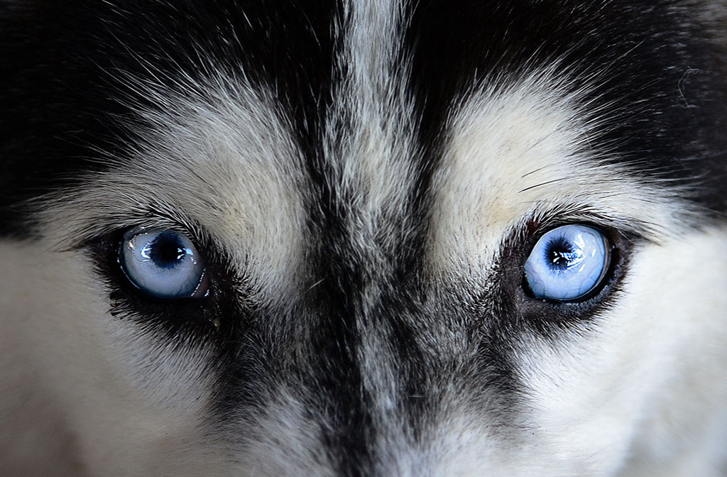 University of Connecticut